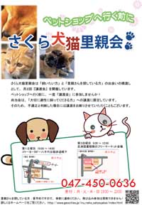 さくら犬猫里親会　パンフレット